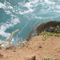 Chatham Island.<br>Photographer: John Sawyer, Licence: <a target='_blank' href='https://creativecommons.org/licenses/by-nc/4.0'>CC BY-NC</a>.