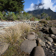 Fiordland.<br>Photographer: Mike Thorsen, Date taken: 26/08/2013, Licence: All rights reserved.