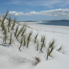 Parengarenga Harbour, East Beach.<br>Photographer: John Sawyer, Licence: <a target='_blank' href='https://creativecommons.org/licenses/by-nc/4.0'>CC BY-NC</a>.