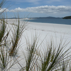 Parengarenga Harbour, East Beach.<br>Photographer: John Sawyer, Licence: <a target='_blank' href='https://creativecommons.org/licenses/by-nc/4.0'>CC BY-NC</a>.