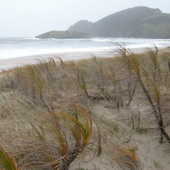 Spirits Bay, Northland.<br>Photographer: John Sawyer, Licence: <a target='_blank' href='https://creativecommons.org/licenses/by-nc/4.0'>CC BY-NC</a>.