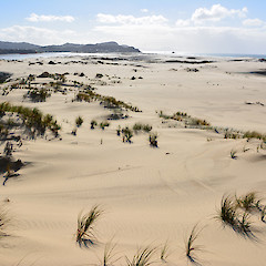 Mangawhai Wildlife Reserve, north of Auckland.<br>Photographer: John Sawyer, Licence: <a target='_blank' href='https://creativecommons.org/licenses/by-nc/4.0'>CC BY-NC</a>.