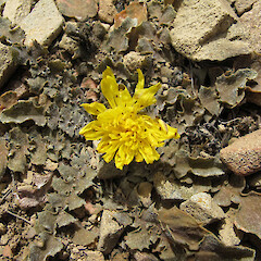 East Ahuriri.<br>Photographer: John Barkla, Licence: <a target='_blank' href='https://creativecommons.org/licenses/by/4.0'>CC BY</a>. <a class='member-message' href='/nzpcn/why-join-nzpcn/' target='_blank'>Members can view a larger version of this image.</a>