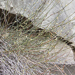 Tone River.<br>Photographer: Simon Moore, Licence: <a target='_blank' href='https://creativecommons.org/licenses/by-sa/4.0'>CC BY-SA</a>. <a class='member-message' href='/nzpcn/why-join-nzpcn/' target='_blank'>Members can view a larger version of this image.</a>