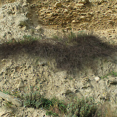 Waitaki Valley, May.<br>Photographer: John Barkla, Licence: <a target='_blank' href='https://creativecommons.org/licenses/by/4.0'>CC BY</a>. <a class='member-message' href='/nzpcn/why-join-nzpcn/' target='_blank'>Members can view a larger version of this image.</a>
