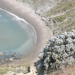 Castlepoint, Wairarapa.<br>Photographer: John Sawyer, Licence: <a target='_blank' href='https://creativecommons.org/licenses/by-nc/4.0'>CC BY-NC</a>.