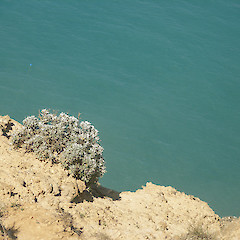 Castlepoint, Wairarapa.<br>Photographer: John Sawyer, Licence: <a target='_blank' href='https://creativecommons.org/licenses/by-nc/4.0'>CC BY-NC</a>.