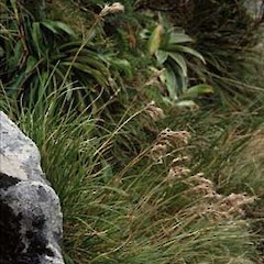 Head of basin of Takahe Valley.<br>Photographer: Kelvin Lloyd, Licence: All rights reserved.