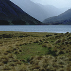 Habitat.<br>Photographer: Cathy Jones, Licence: <a target='_blank' href='https://creativecommons.org/licenses/by/4.0'>CC BY</a>.