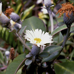 A photo by John Smith-Dodsworth.<br>Photographer: Unknown, Licence: All rights reserved.