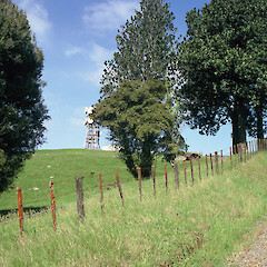 Maungakawa/Sanitorium Hill - The last known location of Trilepidea.<br>Photographer: Peter J de Lange, Licence: <a target='_blank' href='https://creativecommons.org/licenses/by-nc/4.0'>CC BY-NC</a>. <a class='member-message' href='/nzpcn/why-join-nzpcn/' target='_blank'>Members can view a larger version of this image.</a>