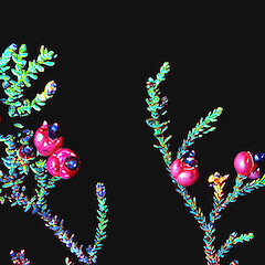 Mangatepopo, December.<br>Photographer: John Smith-Dodsworth, Licence: <a target='_blank' href='https://creativecommons.org/licenses/by-nc/4.0'>CC BY-NC</a>.