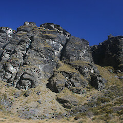 Habitat at Wye Creek.<br>Photographer: Mike Thorsen, Licence: All rights reserved. <a class='member-message' href='/nzpcn/why-join-nzpcn/' target='_blank'>Members can view a larger version of this image.</a>