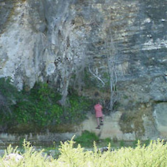 Anatori limestone bluffs, Kahurangi National Park, NW Nelson.<br>Photographer: Simon Walls, Licence: <a target='_blank' href='https://creativecommons.org/licenses/by-nc/4.0'>CC BY-NC</a>.