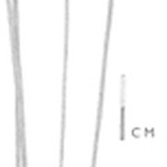 Carex healyi