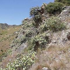 Bluff by road, Jordan catchment.<br>Photographer: Simon Moore, Licence: <a target='_blank' href='https://creativecommons.org/licenses/by-sa/4.0'>CC BY-SA</a>.