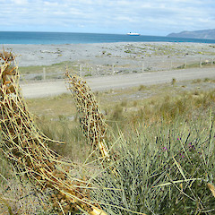 Baring Head, Wellington Harbour.<br>Photographer: John Sawyer, Licence: <a target='_blank' href='https://creativecommons.org/licenses/by-nc/4.0'>CC BY-NC</a>.