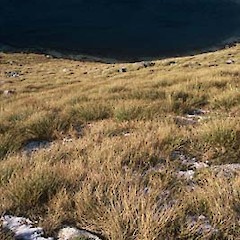Mountains above Lake Monowai.<br>Photographer: Kelvin Lloyd, Licence: All rights reserved.