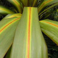 Ruahine Range.<br>Photographer: John Sawyer, Date taken: 01/10/2009, Licence: <a target='_blank' href='https://creativecommons.org/licenses/by-nc/4.0'>CC BY-NC</a>.
