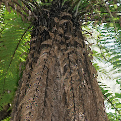 Eastern Wairarapa.<br>Photographer: Jeremy R. Rolfe, Date taken: 10/10/2010, Licence: <a target='_blank' href='https://creativecommons.org/licenses/by/4.0'>CC BY</a>.