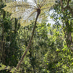 Stokes Valley, Lower Hutt.<br>Photographer: Jeremy R. Rolfe, Date taken: 03/10/2015, Licence: <a target='_blank' href='https://creativecommons.org/licenses/by/4.0'>CC BY</a>.