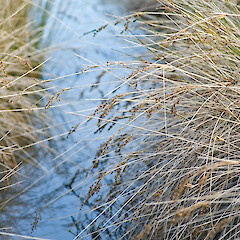 Pauatahanui Inlet.<br>Photographer: Jeremy R. Rolfe, Date taken: 25/05/2006, Licence: <a target='_blank' href='https://creativecommons.org/licenses/by/4.0'>CC BY</a>. <a class='member-message' href='/nzpcn/why-join-nzpcn/' target='_blank'>Members can view a larger version of this image.</a>