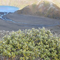 Tama Lakes, Tongariro.<br>Photographer: John Sawyer, Licence: <a target='_blank' href='https://creativecommons.org/licenses/by-nc/4.0'>CC BY-NC</a>. <a class='member-message' href='/nzpcn/why-join-nzpcn/' target='_blank'>Members can view a larger version of this image.</a>