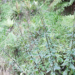 Forgotten Highway.<br>Photographer: Mike Thorsen, Date taken: 14/03/2013, Licence: All rights reserved. <a class='member-message' href='/nzpcn/why-join-nzpcn/' target='_blank'>Members can view a larger version of this image.</a>