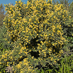 Point Halswell, Wellington.<br>Photographer: Jeremy R. Rolfe, Date taken: 17/08/2006, Licence: <a target='_blank' href='https://creativecommons.org/licenses/by/4.0'>CC BY</a>.
