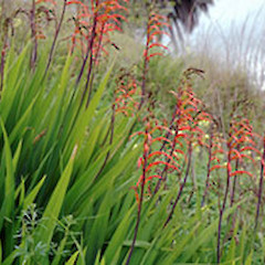 Near Bulls. Aug 2006.<br>Photographer: Colin C. Ogle, Licence: <a target='_blank' href='https://creativecommons.org/licenses/by-nc/4.0'>CC BY-NC</a>.