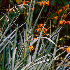Upper Hutt.<br>Photographer: Jeremy R. Rolfe, Date taken: 12/03/2004, Licence: <a target='_blank' href='https://creativecommons.org/licenses/by/4.0'>CC BY</a>.