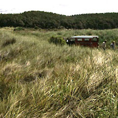 Pyp grass covering foreground dune, Koitiata (Turakina Beach), Oct 1990.<br>Photographer: Colin C. Ogle, Licence: <a target='_blank' href='https://creativecommons.org/licenses/by-nc/4.0'>CC BY-NC</a>.