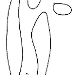Gyroporus castaneus