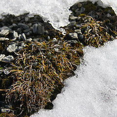 Wye Valley, Otago.<br>Photographer: Mike Thorsen, Date taken: 25/04/2008, Licence: All rights reserved. <a class='member-message' href='/nzpcn/why-join-nzpcn/' target='_blank'>Members can view a larger version of this image.</a>