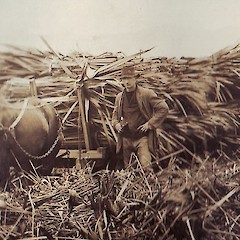 Flax wain carrying material for milling at the mouth of the Manawatu River, circa 1920 (photo courtesy of the Bythell Family).<br>Photographer: Unknown, Licence: All rights reserved.