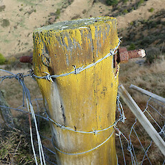 Banks Peninsula.<br>Photographer: Melissa Hutchison, Date taken: 23/06/2019, Licence: <a target='_blank' href='https://creativecommons.org/licenses/by-nc/4.0'>CC BY-NC</a>. <a class='member-message' href='/nzpcn/why-join-nzpcn/' target='_blank'>Members can view a larger version of this image.</a>