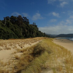 Forming dune systems, Stewart Island.<br>Photographer: Marley Ford, Date taken: 19/03/2022, Licence: <a target='_blank' href='https://creativecommons.org/licenses/by-nc/4.0'>CC BY-NC</a>. <a class='member-message' href='/nzpcn/why-join-nzpcn/' target='_blank'>Members can view a larger version of this image.</a>
