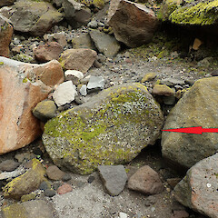 Manganui Valley, Mt Taranaki.<br>Photographer: Melissa Hutchison, Date taken: 13/04/2023, Licence: <a target='_blank' href='https://creativecommons.org/licenses/by-nc/4.0'>CC BY-NC</a>. <a class='member-message' href='/nzpcn/why-join-nzpcn/' target='_blank'>Members can view a larger version of this image.</a>