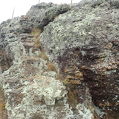 Manorburn Dam, Otago.<br>Photographer: Melissa Hutchison, Date taken: 17/07/2021, Licence: <a target='_blank' href='https://creativecommons.org/licenses/by-nc/4.0'>CC BY-NC</a>. <a class='member-message' href='/nzpcn/why-join-nzpcn/' target='_blank'>Members can view a larger version of this image.</a>
