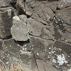 Heathcote Bluffs, Port Hills.<br>Photographer: Melissa Hutchison, Date taken: 05/11/2022, Licence: <a target='_blank' href='https://creativecommons.org/licenses/by-nc/4.0'>CC BY-NC</a>. <a class='member-message' href='/nzpcn/why-join-nzpcn/' target='_blank'>Members can view a larger version of this image.</a>