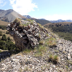 Habitat, Hogs Back Track, Castle Hill.<br>Photographer: Jane Gosden, Date taken: 04/11/2022, Licence: <a target='_blank' href='https://creativecommons.org/licenses/by-nc-sa/4.0'>CC BY-NC-SA</a>. <a class='member-message' href='/nzpcn/why-join-nzpcn/' target='_blank'>Members can view a larger version of this image.</a>
