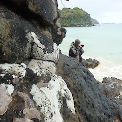 Coastal rock habitat, Stewart Island/Rakiura.<br>Photographer: Melissa Hutchison, Date taken: 17/04/2021, Licence: <a target='_blank' href='https://creativecommons.org/licenses/by-nc/4.0'>CC BY-NC</a>. <a class='member-message' href='/nzpcn/why-join-nzpcn/' target='_blank'>Members can view a larger version of this image.</a>