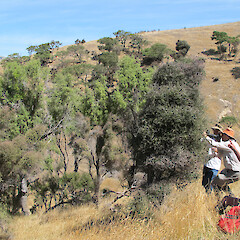 Banks Peninsula.<br>Photographer: Melissa Hutchison, Date taken: 18/02/2012, Licence: <a target='_blank' href='https://creativecommons.org/licenses/by-nc/4.0'>CC BY-NC</a>. <a class='member-message' href='/nzpcn/why-join-nzpcn/' target='_blank'>Members can view a larger version of this image.</a>
